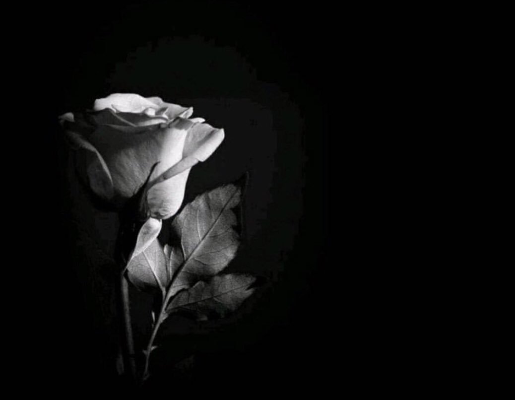 aaa22_bb's tweet photo. كونوا لرحيلكم أوفياء ..

لعلنا نكون أيضاً .. لنسيانكم مخلصين !! https://t.co/vni8sqPmNE