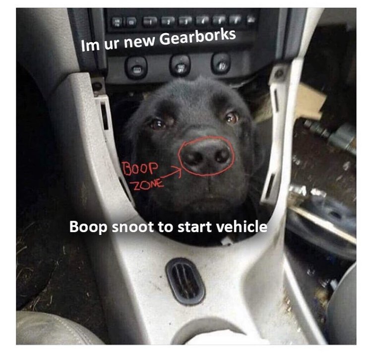 Press boop to start