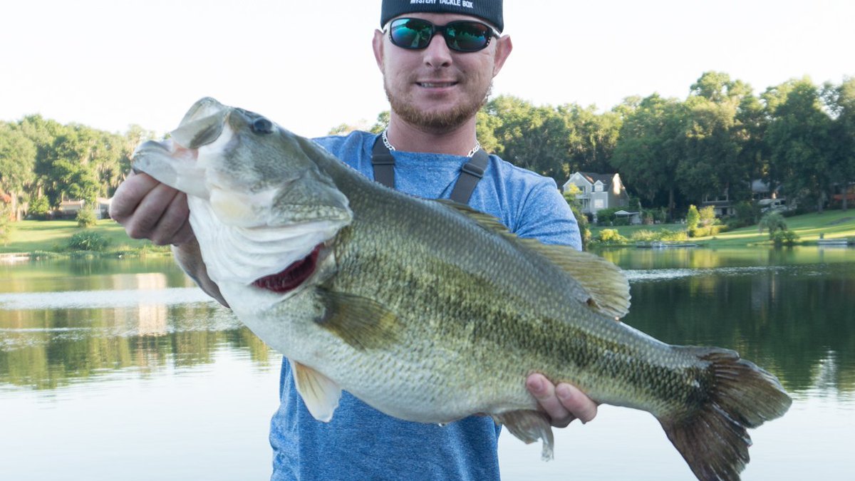 ~RT if you love big bass!
Video: youtu.be/oon0wXQM1yw

<a href="/YourFishin_Pics/">YourFishin_Pics</a>
<a href="/HometoOutdoors/">Home to Outdoors</a>
<a href="/randymortensen3/">Randy Mortensen</a>
<a href="/DwayneMcguire3/">Dwayne Mcguire</a>
<a href="/_Darcizzle_/">Darcizzle Offshore TV</a>
<a href="/kathym8896/">Kathy Moulton 🐟🐟🎣🎣🙏✝️❤</a> 
<a href="/samanthalgay/">Samantha Gay</a> 
<a href="/CatherineNW1984/">Catherine Newman</a> 
<a href="/DwayneZ2015/">Dwayne Zboril</a> 
<a href="/YourFishin_Pics/">YourFishin_Pics</a>
<a href="/AquaSkinz/">AquaSkinz</a> 
<a href="/melvinsmitson/">Fishing With Smitson</a>
<a href="/CoastalFishingC/">CoastalFishing</a>
<a href="/girlskickinbass/">Girls Kickin Bass</a>