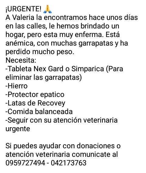 EcuaDiversos's tweet photo. Ayudanos a ayudar a Valeria 🙏  @Mariasolecita @DianaIMaldonado @turcacat @tinocotania @silvitabuendia @CynthiaViteri6 @URRAGuayas @fernandorozcom @alcaldiagye @raulclementelh @ecuatorianosglb @pametroya @pameaguirre1 @jimmyjairala @ThyagoJacome @gabrieliza27 @progcamaleon https://t.co/H3cLgNOOsA