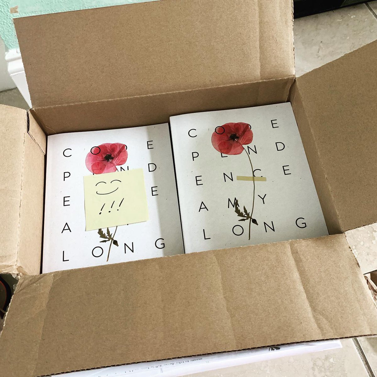 amylorrainelong's tweet photo. I know everything is terrible right now, but everything is always terrible, so...LOOK HOW PRETTY MY BOOK IS! https://t.co/RyoAPm2VfY