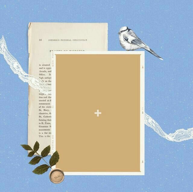 — tweet media
