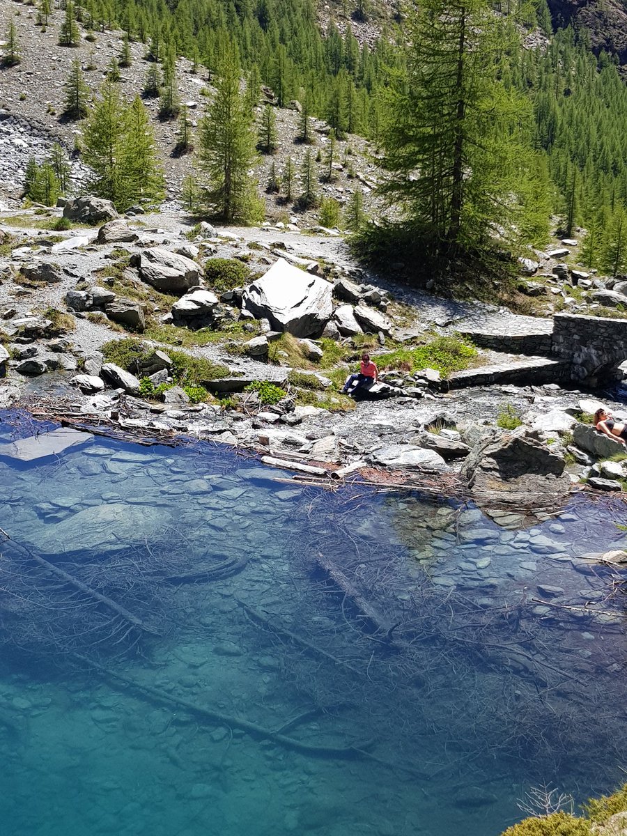 ElisacanepA's tweet photo. Sulla morena glaciale alla base della Rocca di Verra, il #LagoBlu #Valdayas #MonteRosa https://t.co/J3q6xfxFUR