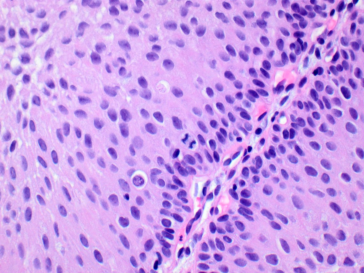 Kiril_T_Can tweet media