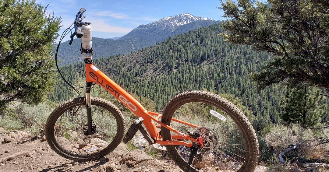 jeffhuxhold's tweet photo. WHen life gives you lemons....squeeze the shit out of em. Squeeze em so hard that there's no more sour left.... then pick up the pieces and try to make the sweetest something out of the bad! @elliptigo @shadyrays #highaltitudelife #embracethesuck #pimpinjoy https://t.co/xJWwxtlZzx