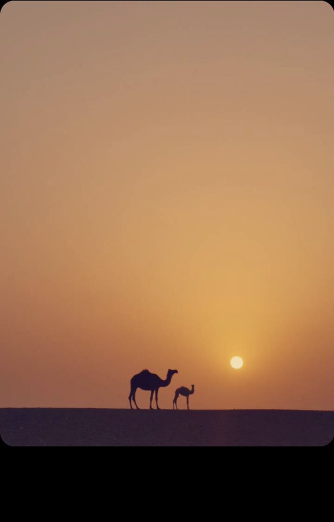 Afoo33's tweet photo. #اكثر_شي_مولم_لك 
أن تشتاق لغائب عند ربه، فإنه اقسى انواع الشوق.. https://t.co/oHKt0cRhRm
