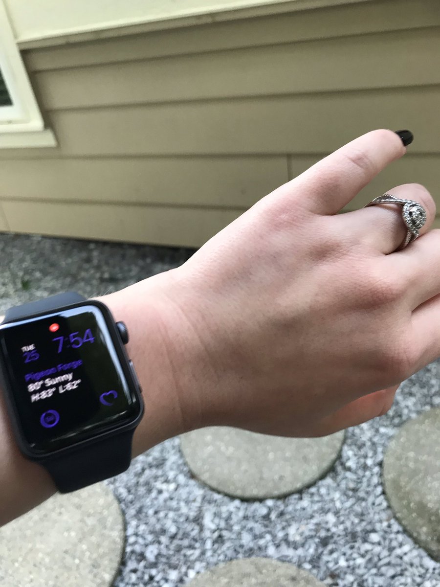 Lauren Sagona Honig tweet media