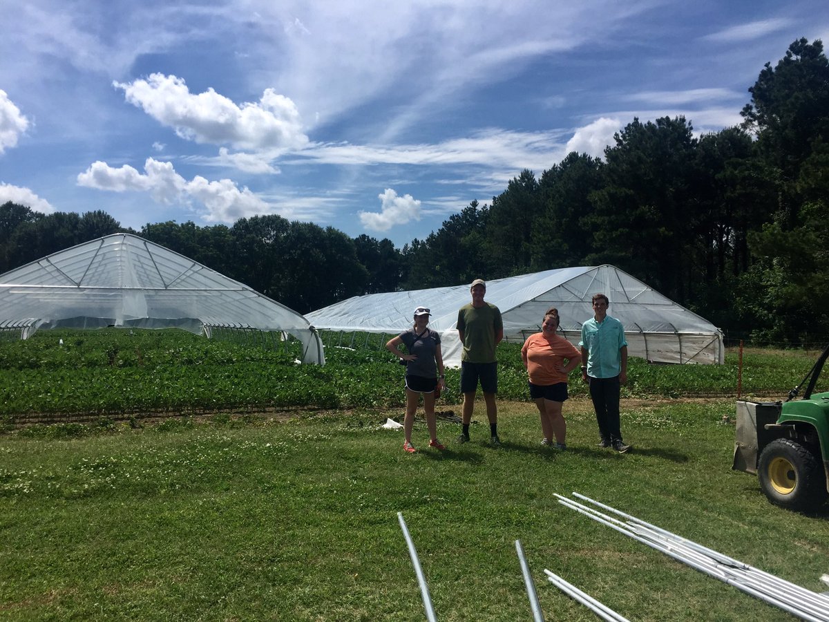 AShekoofa's tweet photo. And ...we are all set for another year of drought research/adventure among soybean and cotton genotypes! Thanks everyone ...it was a long journey!! But well done. #TNsoybean #cotton #droughtprojects #WTREC https://t.co/1B4G9Hbcum