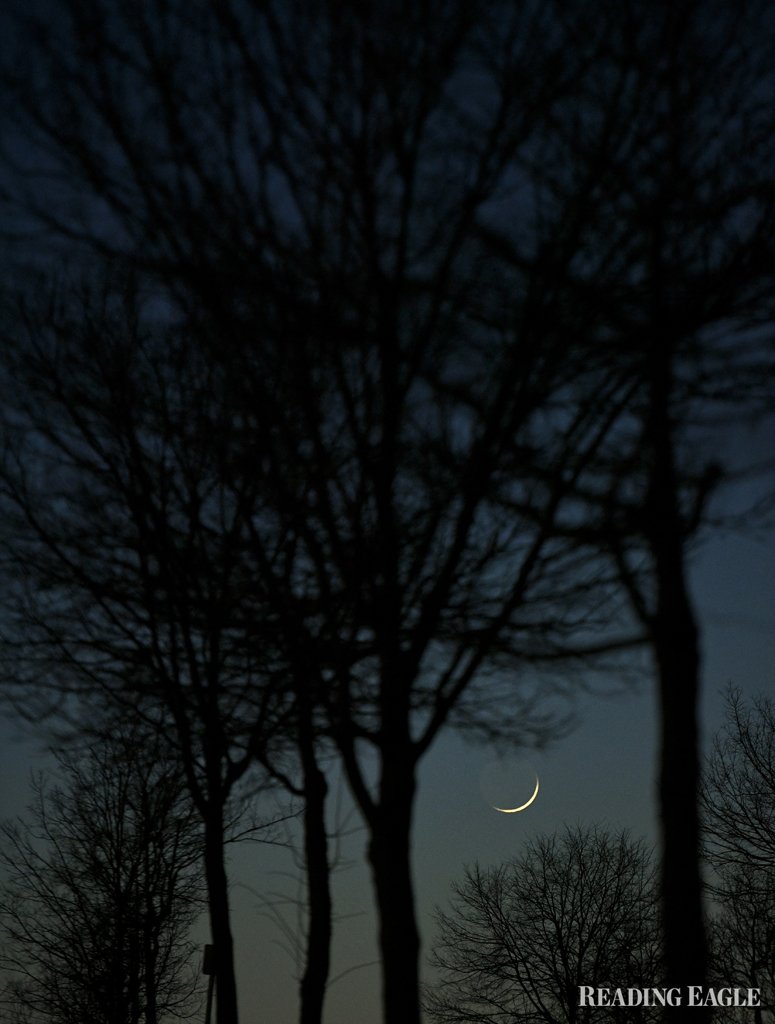 jdreyphoto's tweet photo. And on more than one occasion the #moon has been my muse. Lunar eclipse, solar eclipse, strawberry moon and the many stages. 5/? https://t.co/wovZAOBGe9
