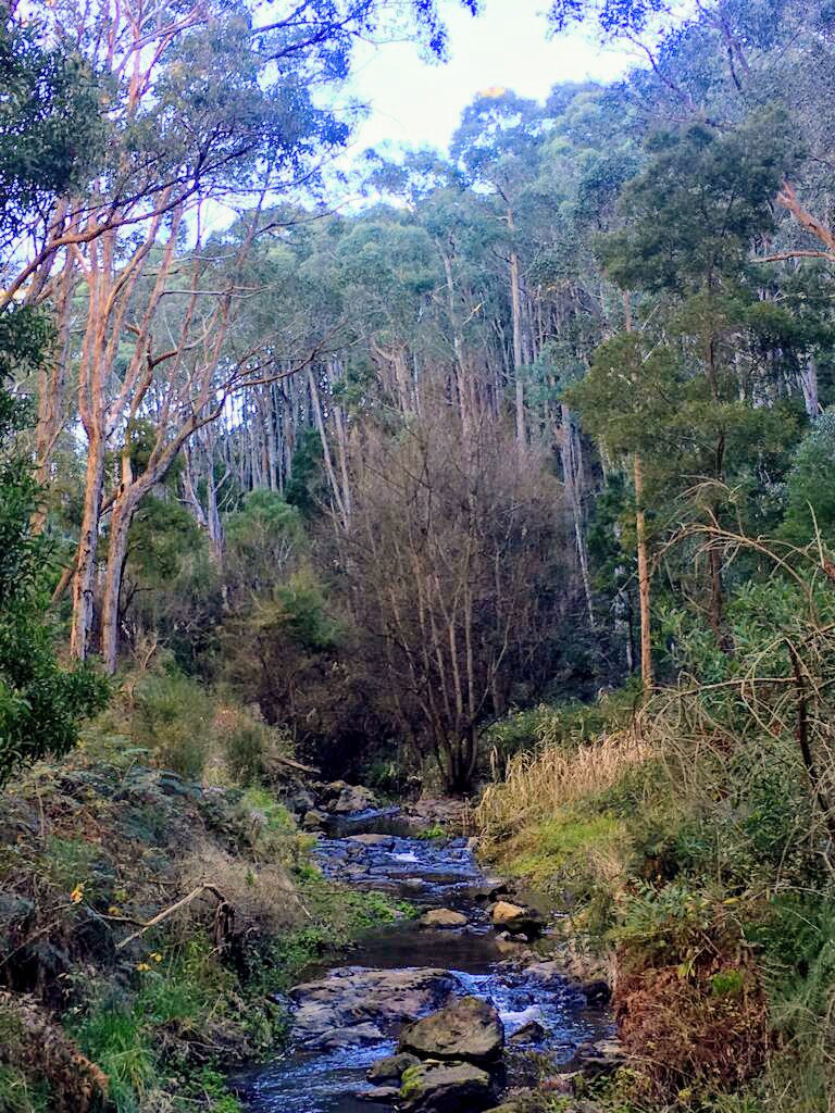 Chris_George7's tweet photo. Some challenging hills and fresh weather as SRC-A conducts a 2 day hike in the #Adelaide hills with #Padre and #PTI support promoting positive physical and mental health to develop robust and resilient #soldiers. https://t.co/Mg4dAVtMJS