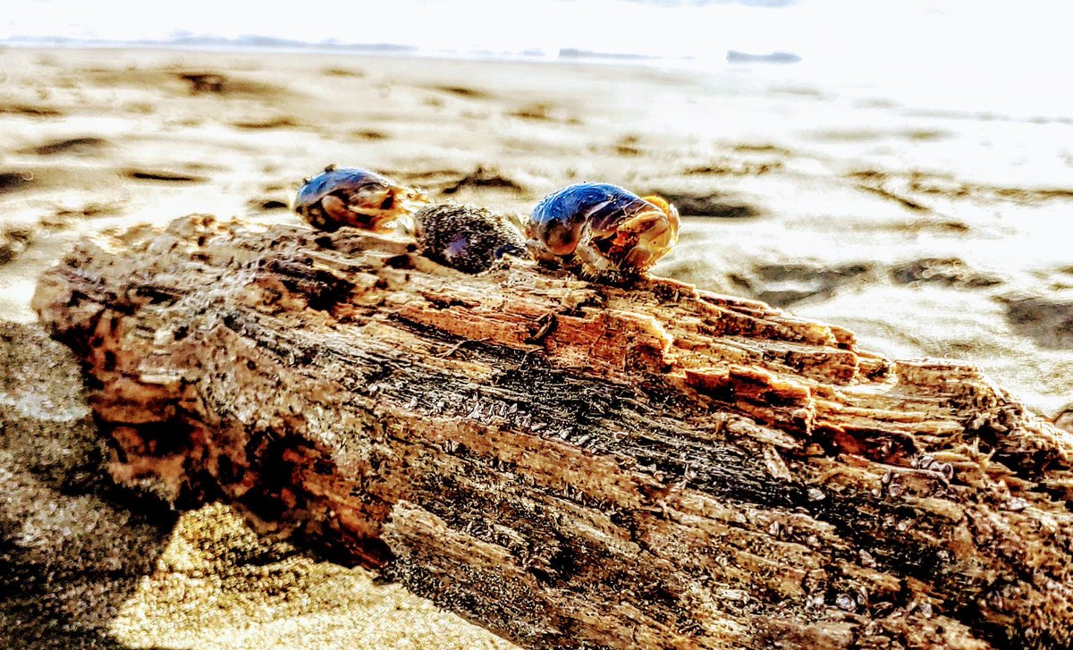 Sam Tous tweet media