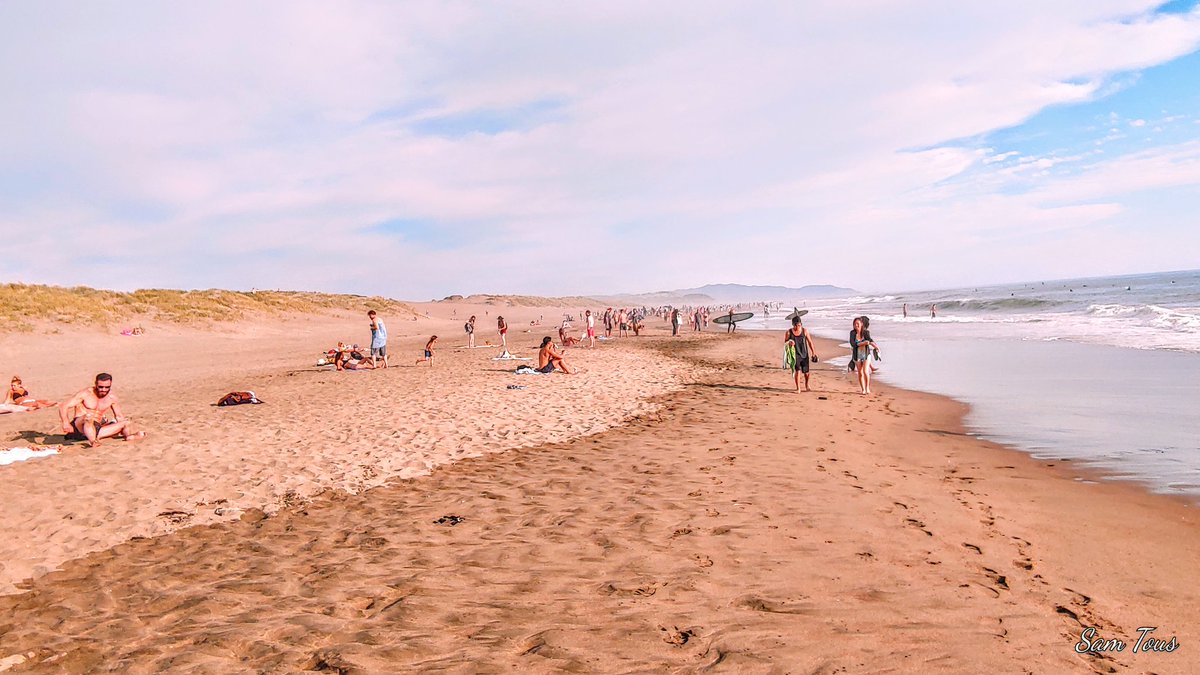 Sam Tous tweet media