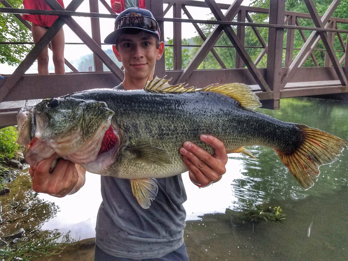#FishingFamily fishin/camping trip w the KIDS off to a bang! Garrett <a href="/KidsThatFish/">KidsFishinNation</a> on the board w a 8lber! Nothing like #familyfishing! 🙌🎣🎣 <a href="/F150SuperSnake/">Shelby Man 🐍</a>
<a href="/JenniPrickett/">Jenni 🐟🎣</a> <a href="/mike_Iaconelli/">Mike “IKE” Iaconelli</a>