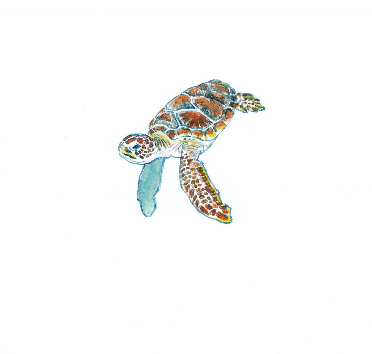 五十嵐大介お知らせ Twitterissa デデ とウミガメの子 海獣の子供 単行本より 映画 海獣の子供 T Co Jojkgjav4j公開中 映画 トゥレップ 海獣の子供を探して T Co Esmatubwbz順次公開中 映画 リトル フォレスト 春夏秋冬 T Co