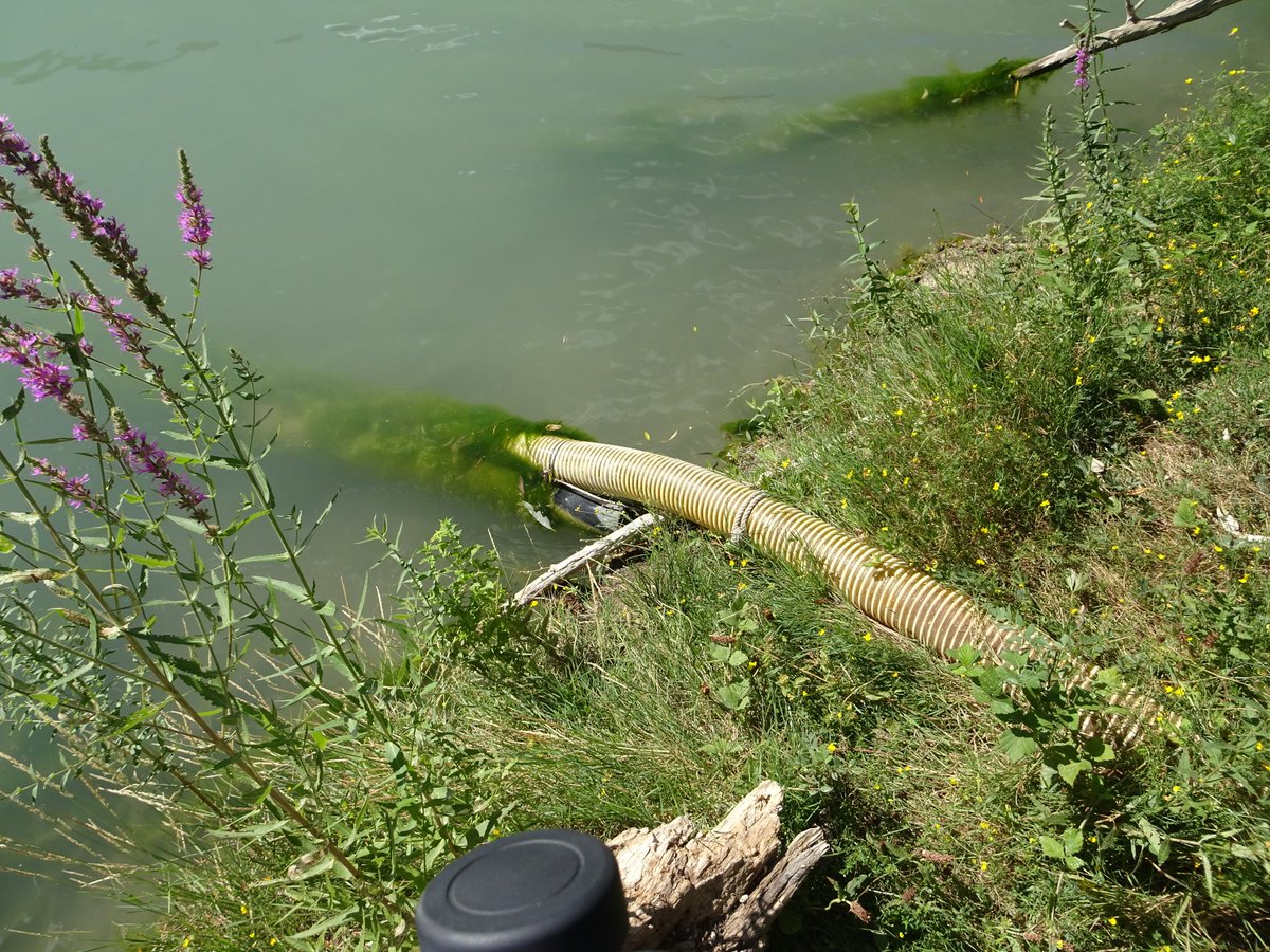 Nuestros ríos soportan miles de captaciones ilegales de agua, que les generan graves daños ambientales, al circular por los cursos fluviales bastante menos agua de la que aparece en los papeles. Las confederaciones hidrográficas deberían perseguir y cancelar estas captaciones.