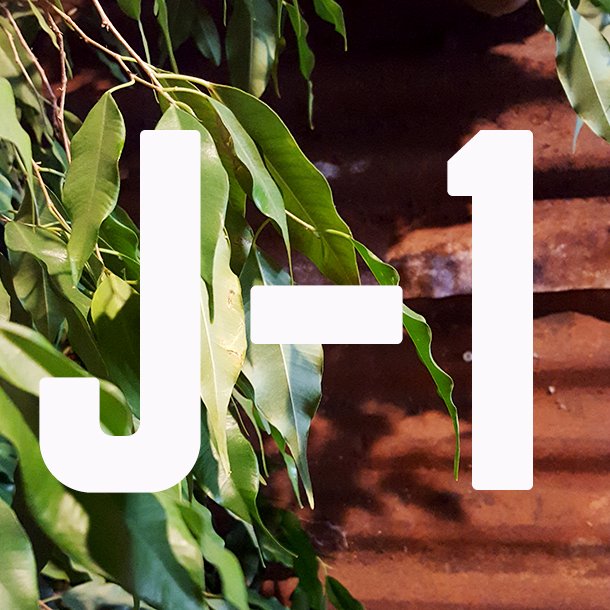 😱 J-1 😱 OMG - ça commence demain!! L'Arsenal prend forme - ce végétal, acier, shiny, amour. 

Nous nous réjouissons de partager tout ça avec vous!! ❤️