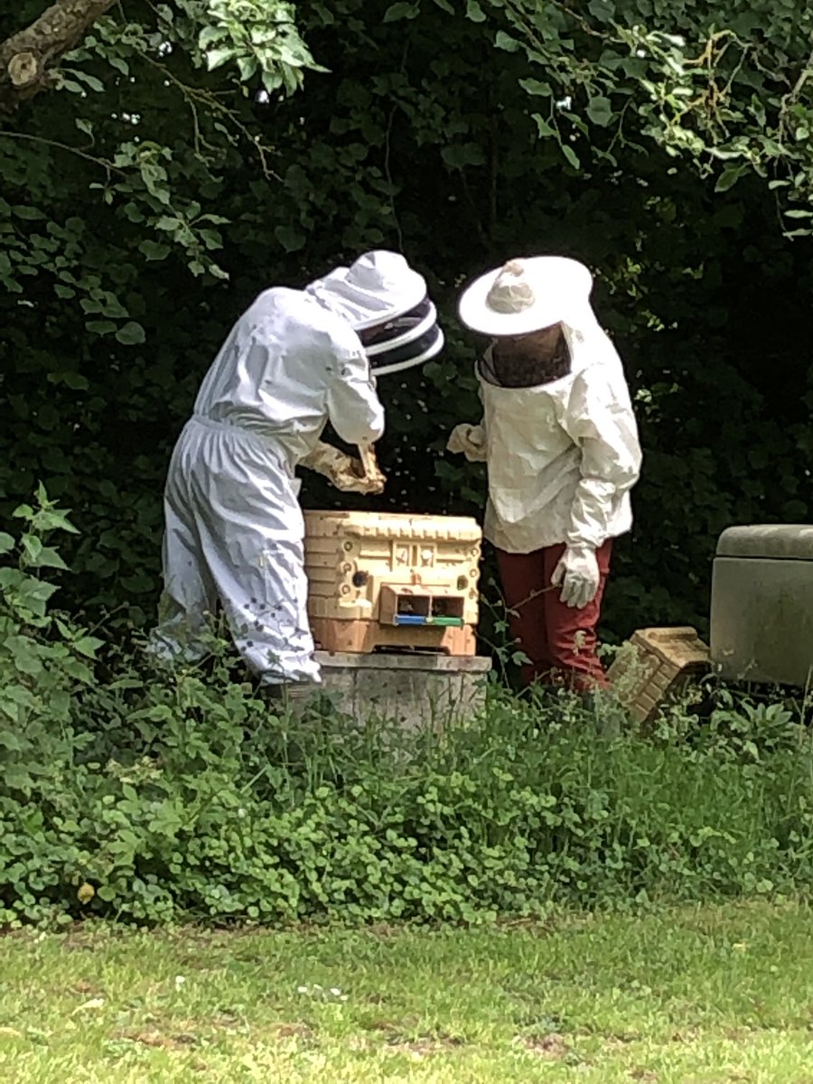 BigVintageTPot's tweet photo. One of our team learning about bees from our local beekeeper 🐝🐝🍯🍯 @SherieChivers @KimYPhotography @LoveLeopardPrnt #bees #beekeeping #localbusiness #honey https://t.co/oNRUcKHYOp