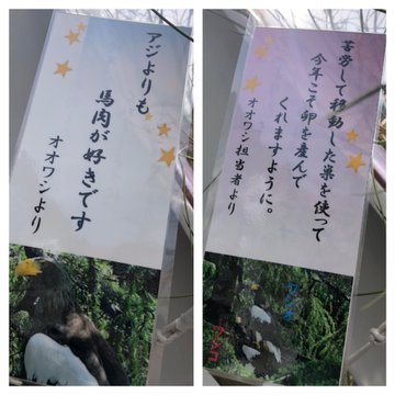 七夕の願い事 大人も子供も書いてる面白かったり素敵だったりな短冊の願い事まとめ Tanoseek