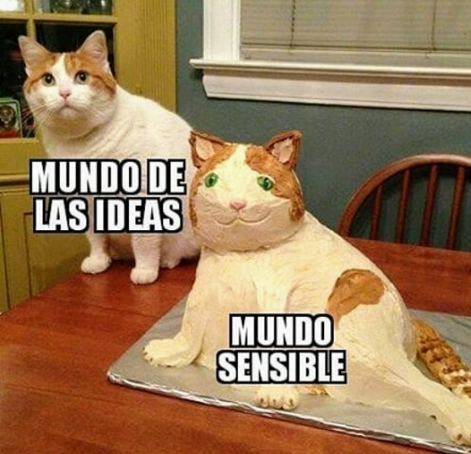 PLuegotuiteo's tweet photo. "Profe, no me ha quedado clara la distinción establecida en el dualismo ontológico platónico"
#filomeme
#memesofía
#filosofíavisual
#quierohacerunahistoriadelafilosofíaconmemes
😂😂😂 https://t.co/mDRRTvF1t5