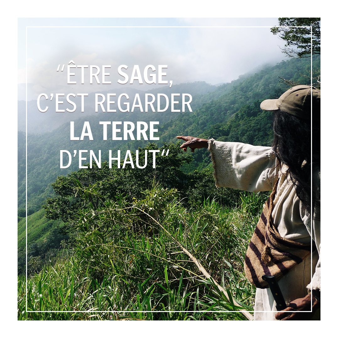 TchendukuaKogis's tweet photo. Regard sur la Terre  🌎 🌱

"Être sage, c'est regarder la terre d'en haut"

Une citation issue du livre "Rien n'est éternel, sauf les étincelles", un livre d'art en soutien aux indiens Kogis.

#nature #terre #inspiration #peuplespremiers #peupleskogis https://t.co/wT7sZ9Bben