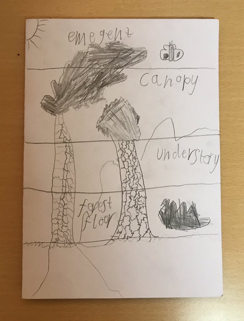 wildsidenat's tweet photo. Loved these thank-you cards that was given from P3/4 class @Burgh_Primary after running our βRainforest Tribesβ workshop with them recently!! Looks like they enjoyed the session as much as me!! #activelearing #eastlothian #scotland #rainforests https://t.co/qtFSBeR577