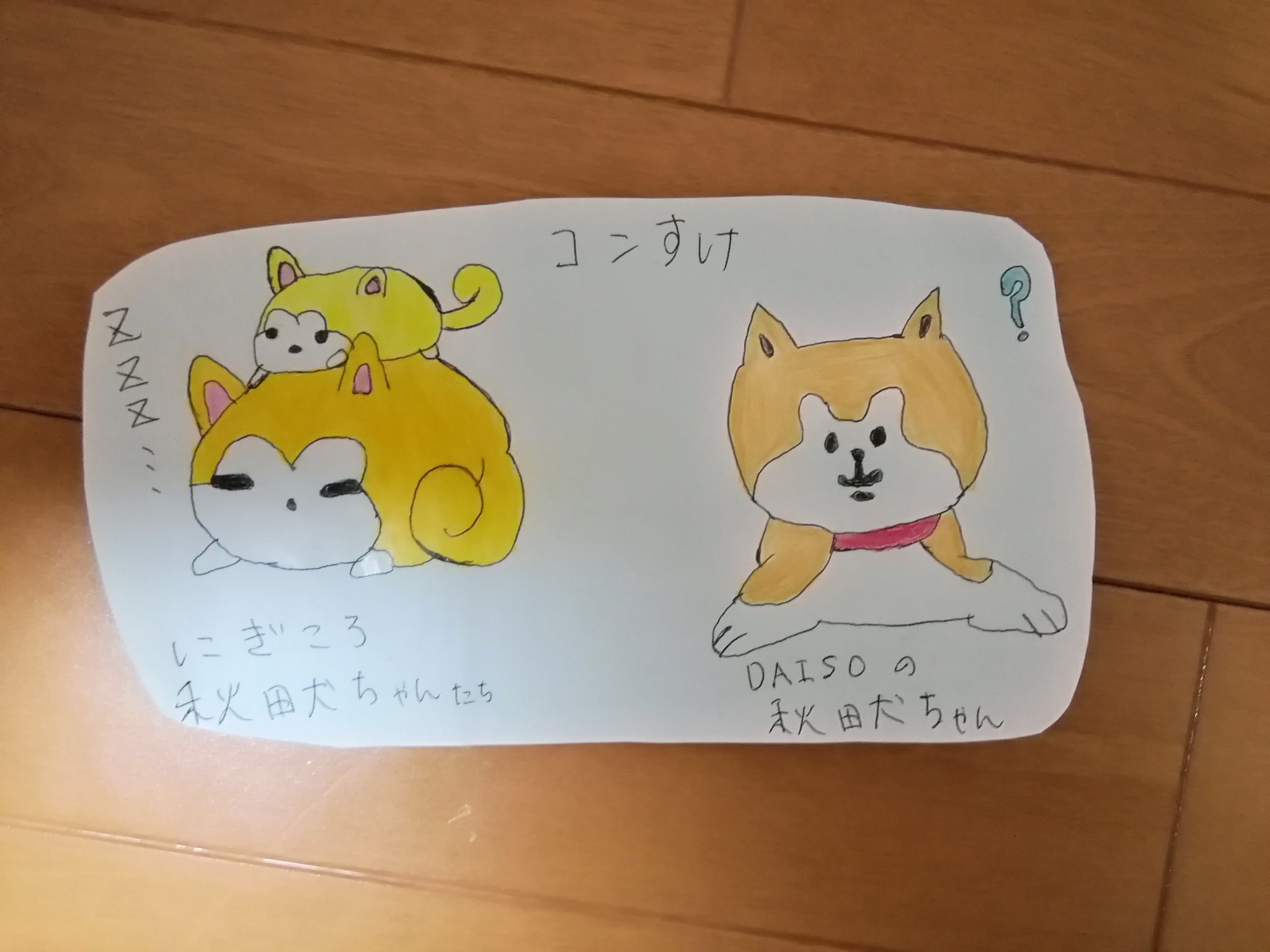 تويتر コンすけ 柴犬 秋田犬love على تويتر また書いてみました 寝ている方のにぎころちゃんの色は うちのみかんちゃんの色を参考にしました ダイソーの秋田犬ちゃんは初めて書きました 秋田犬 手書きの秋田犬 手書きしか出来ないｚｅ T Co