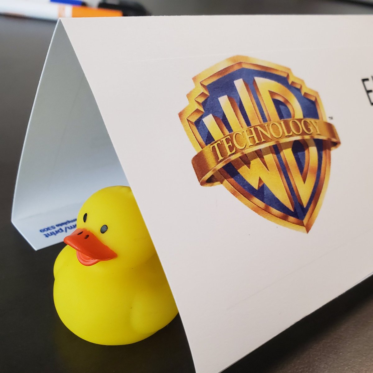 S_ph_a's tweet image. Today the girls got their own Debugging Duck! They also gave them names. #girlswhocode #codingteacher #computerscience #SummerofSkills #STEM #GirlsInSTEM #WomenInSTEM #STEMEducation #DiversityInSTEM @attimpact @GirlsWhoCode