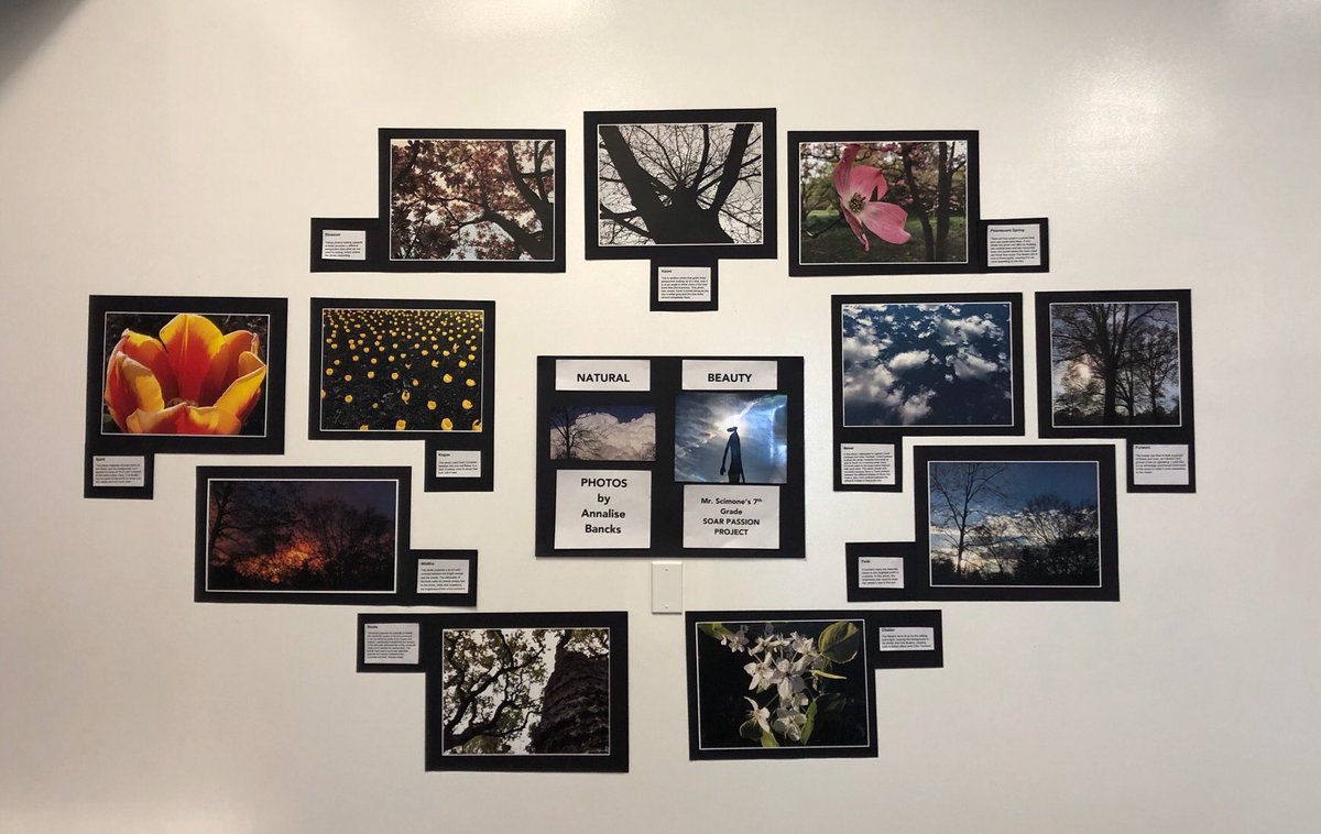 adam_scimone's tweet photo. This year for a #geniushour project a student said she wanted to try taking some pictures with her iPad. Unbelievable discovery of talent and passion that was excavated by offering Ss opportunity to take learning into their own hands and take risk.. #getoutoftheway! @geniushour https://t.co/kegh91bp0e