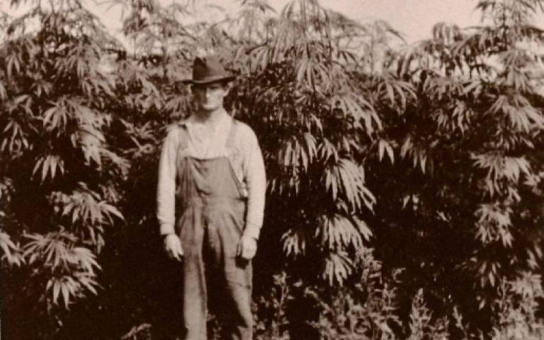seed_market's tweet photo. Remember your roots.

#420 #Cannabis #pot #seedbank #usa #marijuana #growing #oregon #psm https://t.co/csueNpmuNJ