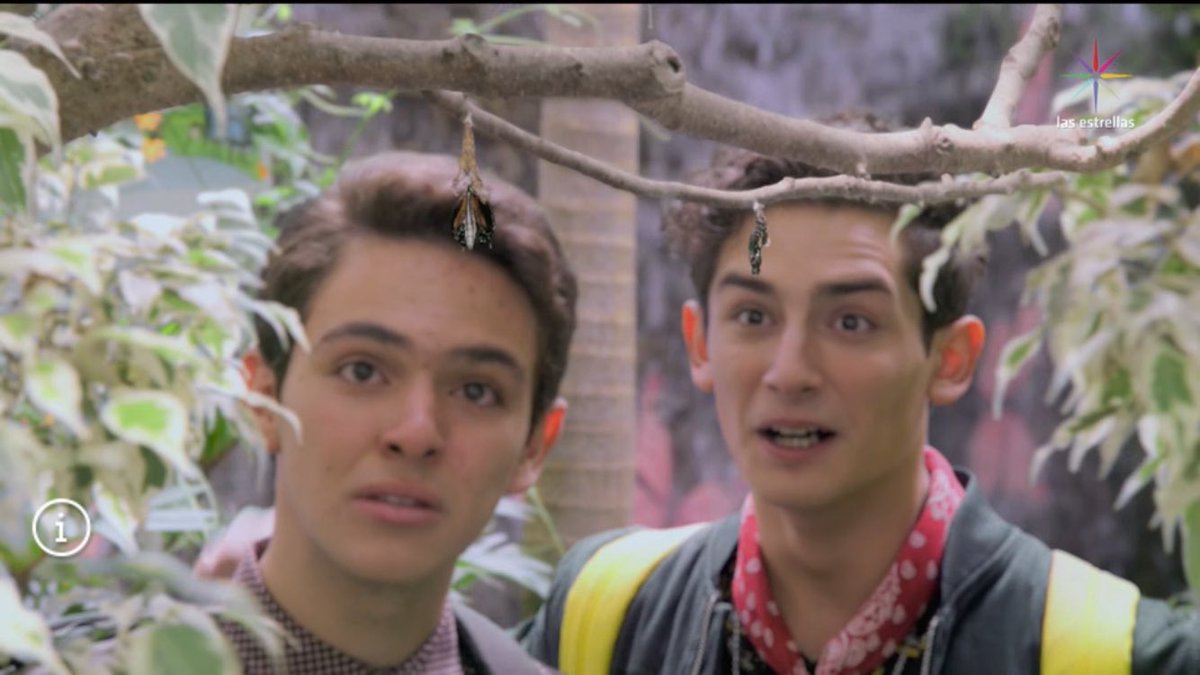 NeonBreaker's tweet photo. Que hermoso momento de verdad que me encanta verlos psando un momento agradable donde el mundo es solo para ellos 😍❤️
MOQUETAZOS ARISTEMO https://t.co/SbOQ1mfeni