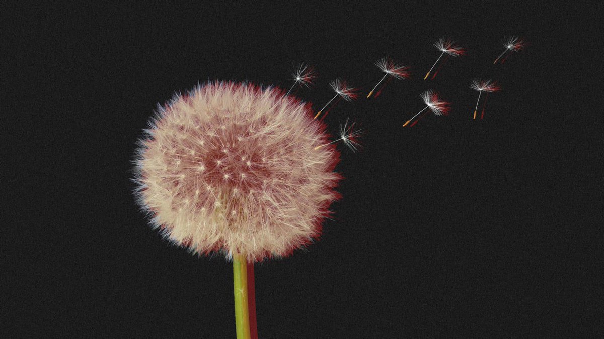 WordWowStudio's tweet image. 8 female executives on the habits they gave up fastcompany.com/90355203/tk-fe…