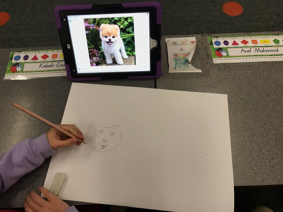 1C Wild Things tweet media
