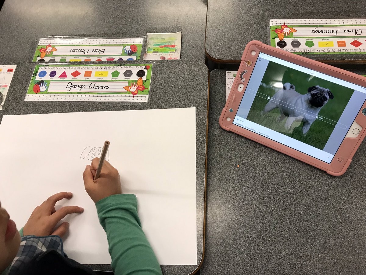 1C Wild Things tweet media