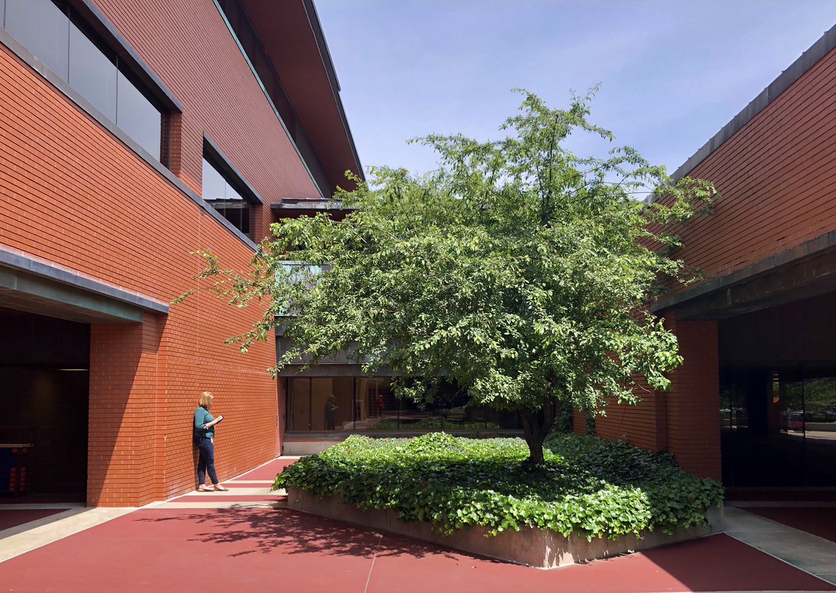 What make Domino’s Farms more than just a static Frank Lloyd Wright copy are the unique spaces and hidden nooks you find along the nearly half mile of the building.