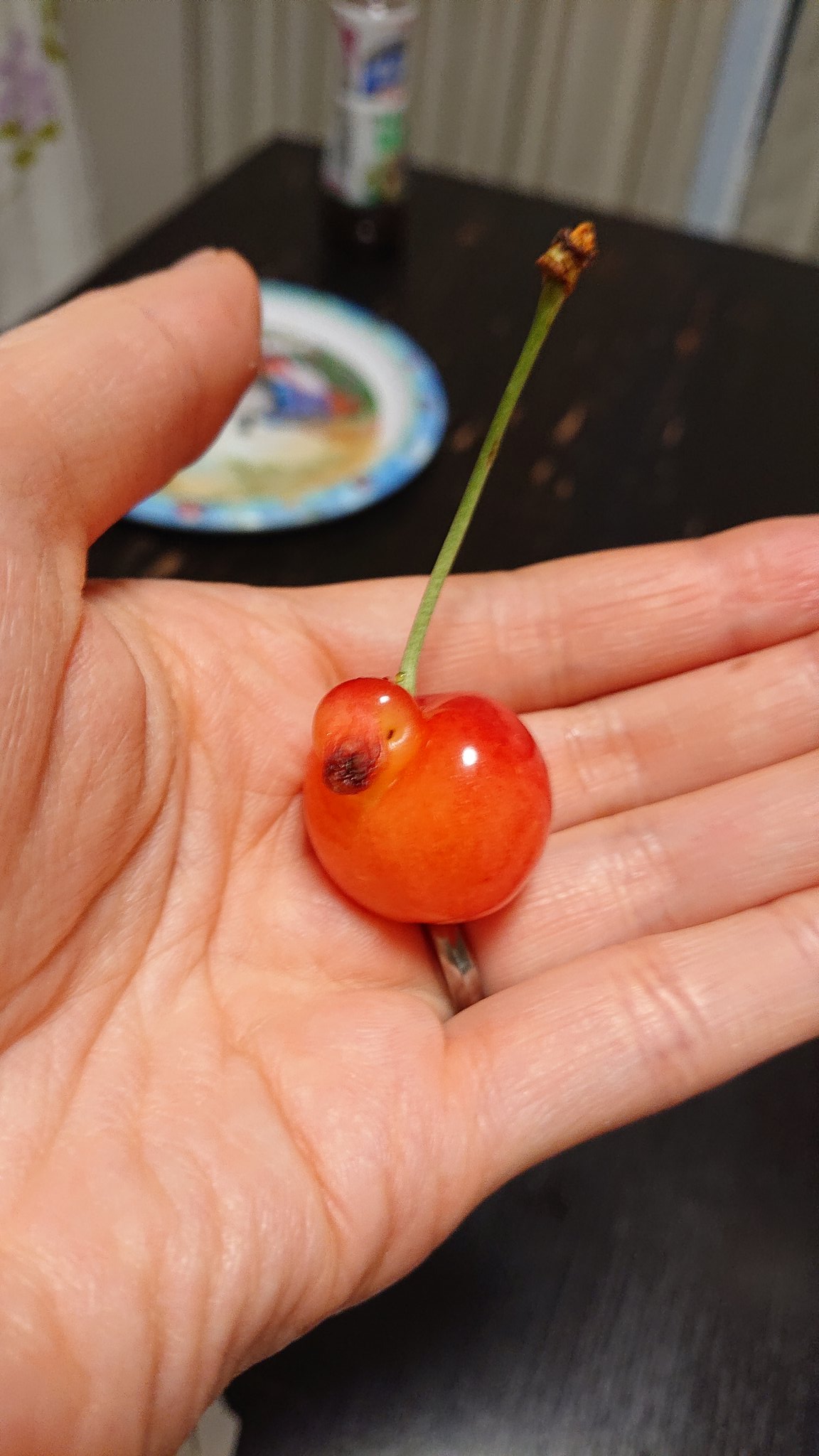 さくらんぼの中にアヒルが紛れ込んでてかわいい 話題の画像プラス さくらんぼの中にアヒルが紛れ込んでてかわいい 話題の画像プラス