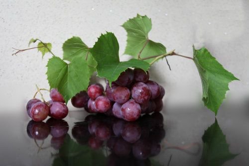 snapgle's tweet photo. "Grapes" by Aleksandr Mikhaylyuk is a trending photo on #Snapgle! https://t.co/A8vIy4XPbF https://t.co/VawZS38q0T
