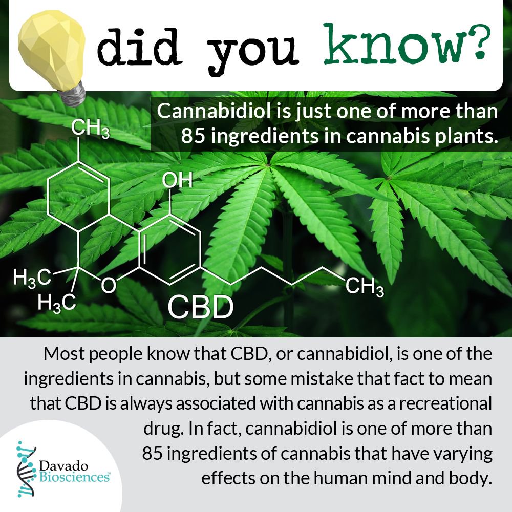 DavadoBio's tweet photo. FYI: Cannabidiol is one of more than 85 ingredients of cannabis that have varying effects on the human mind and body. https://t.co/Od4WgJxiXN
