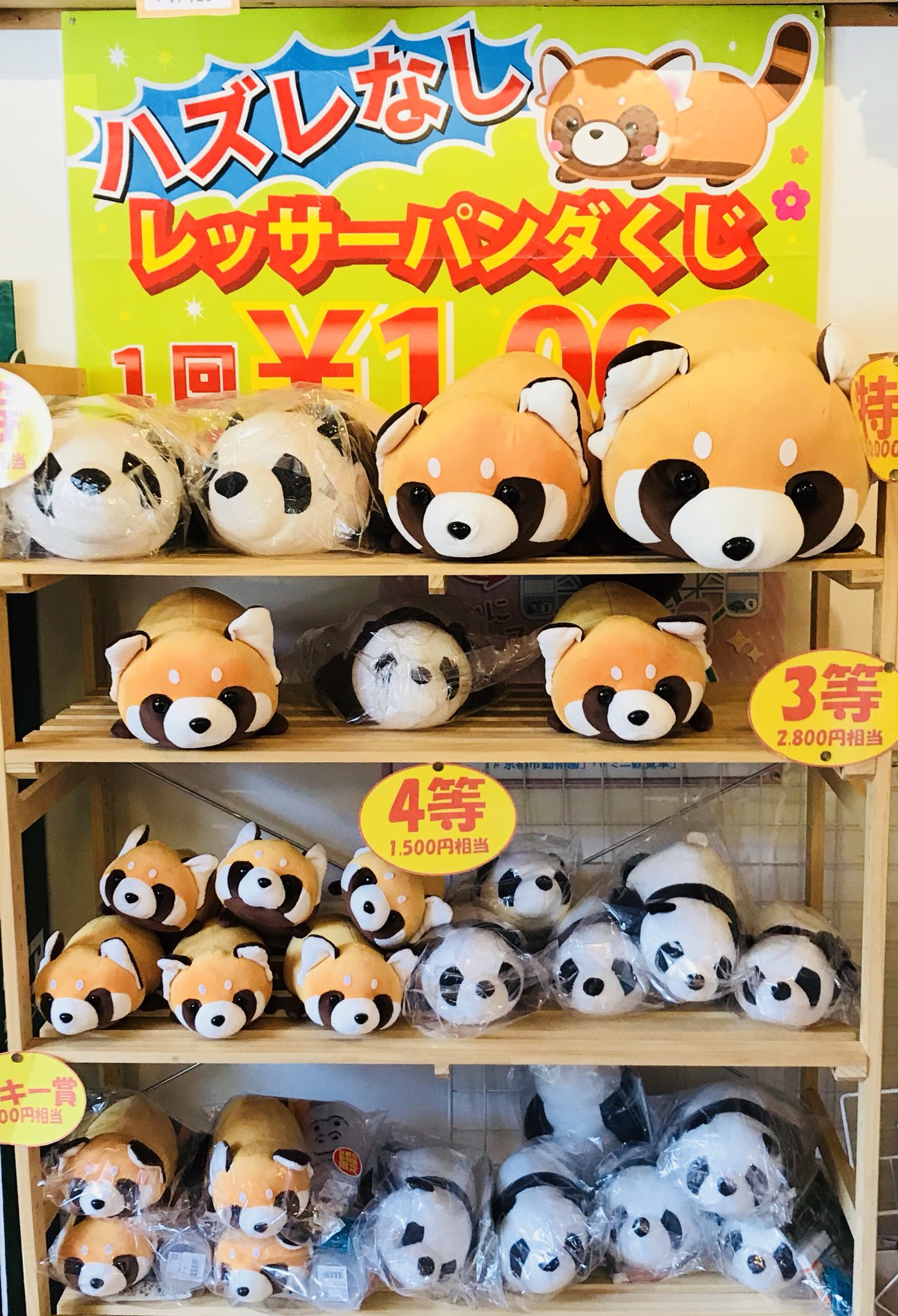 ぬいぐるみ動物園 Amazon.co.jp: 旭山動物園 シロクマ ぬいぐるみ しろくま : おもちゃ