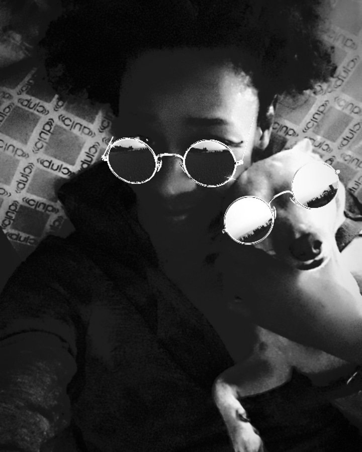 Karllasr's tweet photo. #amodogs #pincher #lovedogs ÷#marleyeeu #pets #lovepets  #AmorAPrimeraVista #likes #likeforlike #donademim https://t.co/YlpIhIKBLA
