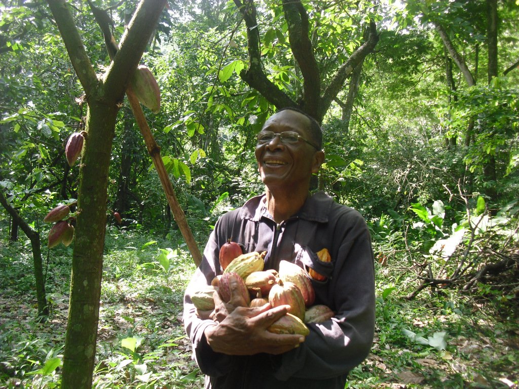 La gente que me gusta del cacao mileidysnieves.wordpress.com/2018/12/28/la-…