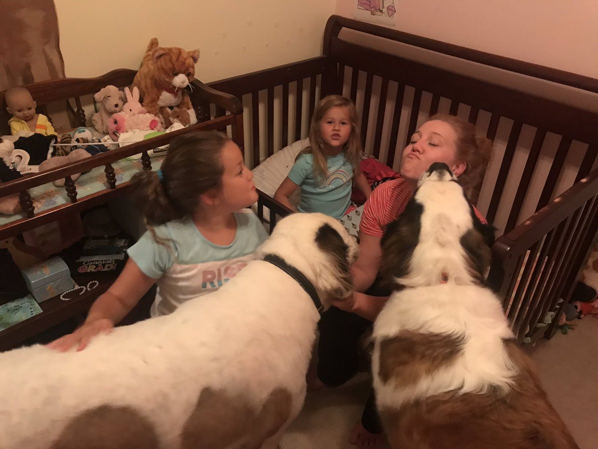 JonWelbornNC's tweet photo. @LeeABrian We got a couple... well unsure if they are purebred because we rescued but 150+/- pounds each #welborndogs https://t.co/KgchRj3wUF