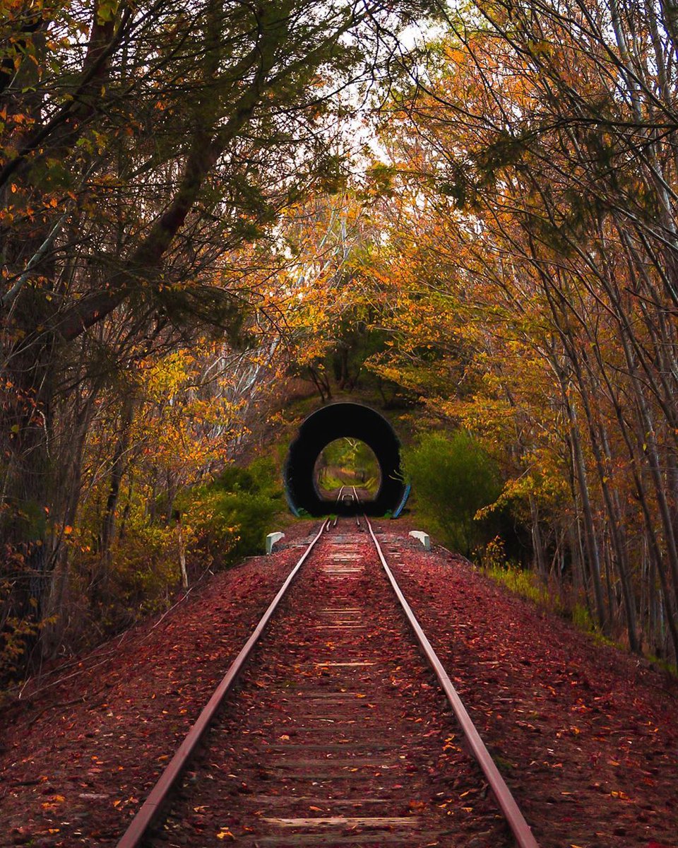 Not all those who wander are lost... and there's no better time than #winter to unearth the hidden gems of the #AdelaideHills! bit.ly/2Vhrjut  🍂📷 Pic: arbn_photog (IG) in Mount Barker. #Adelaide #AdelHills #SeeSouthAustralia #TTOT #LP