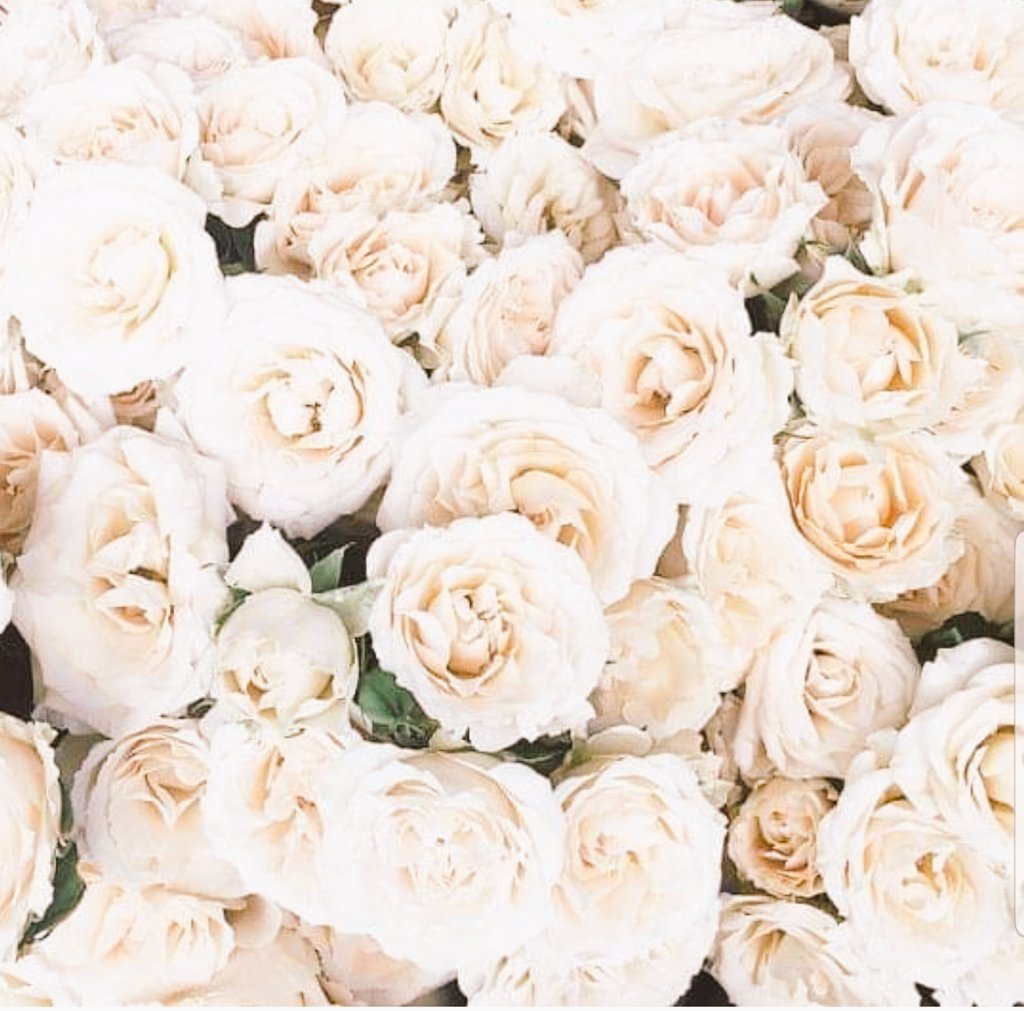 Lorraine tweet media