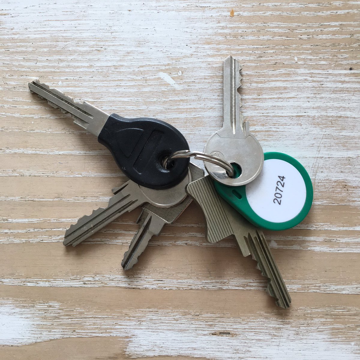 Viona van Dijk tweet media