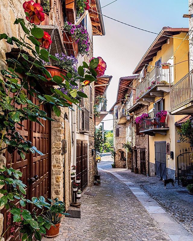 ig_piemonte's tweet photo. presenta
🌆S T R O L L🌆
📍#MonasteroBormida (AT)
AUTORE | @rosannagozzellino
LM | @ch.agall @rossidav
TAG | #langhe #roero #monferrato #ig_langheroeromonferrato
MAIL | igpiemonte@gmail.com
SOCIAL |
• https://t.co/e3pQ6zcRUA
• Twitter @ig_piemont… https://t.co/UYdD1R00yD https://t.co/q7wsjFj9AN