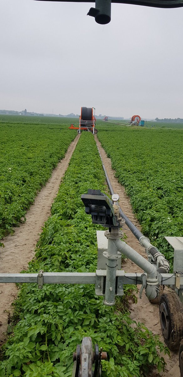 Beregeningshaspel weer aan de draai, ondanks de 100 mm neerslag in juni.