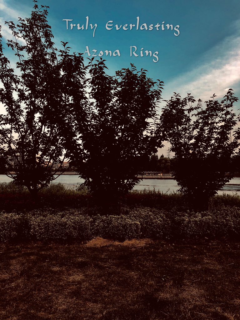 AzonaRing's tweet photo. https://t.co/pzeentxaQS