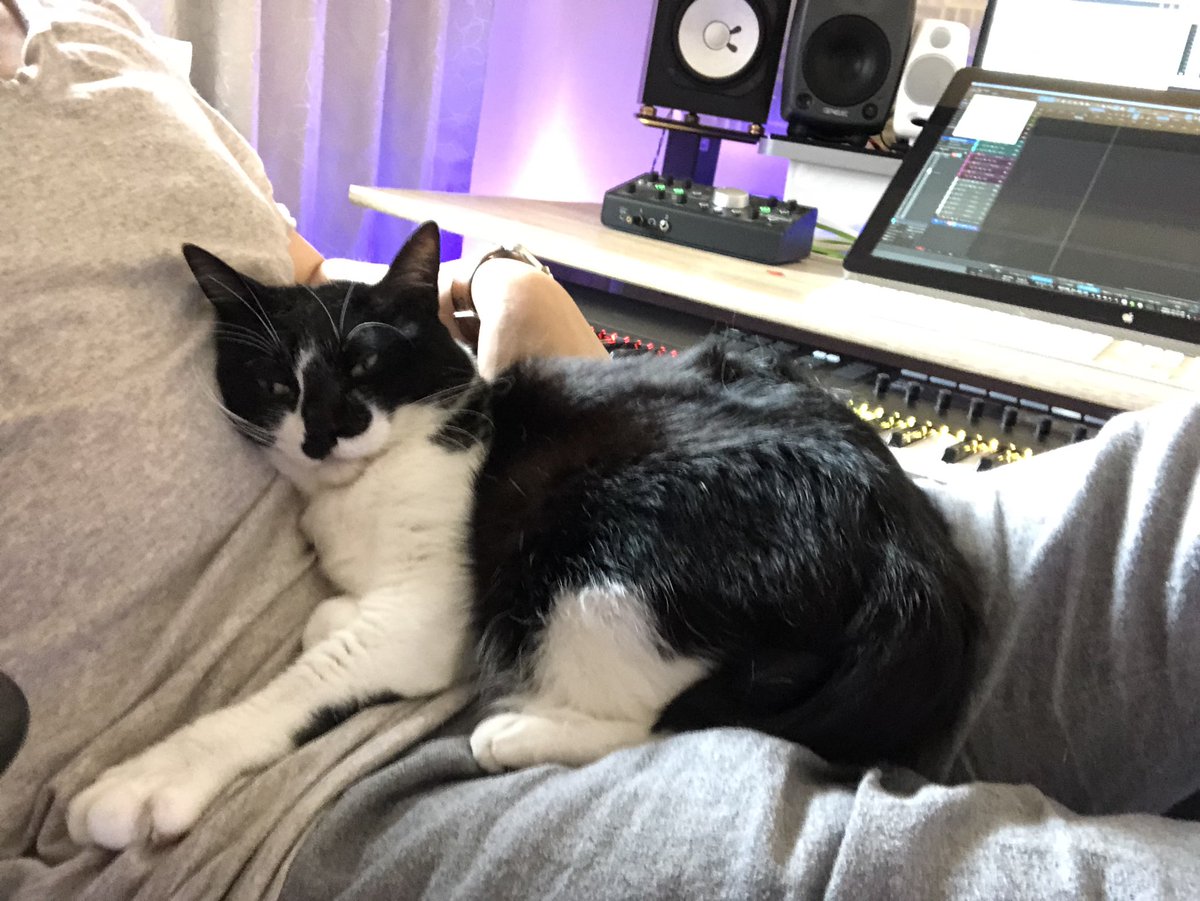 響介 これが 猫マスターと作曲家の二足の草鞋を履く男の日常である 二つの仕事を見事に両立させているその様をご覧ください T Co Cpmodnbafj