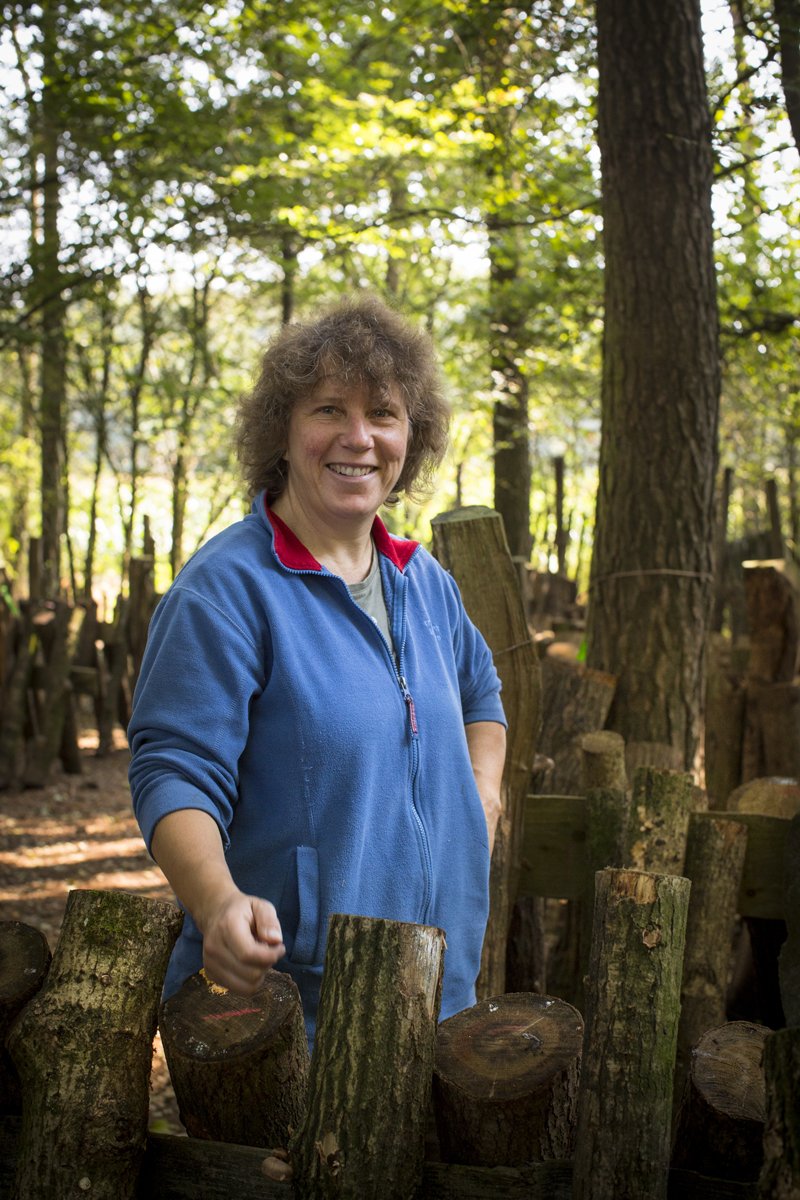 BingerdenNL's tweet photo. Paddenstoelen: zelf enten op hout of even komen proeven bij Pip Gilmore van Groene Takken.  Dit weekend elke dag om 13 en 16 uur! #Kwekerijdagen #Bingerden Meer over het #programma op de borden of onze site. https://t.co/jqyamzyt9O