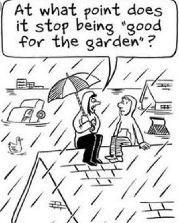yb5169's tweet photo. Sick of all this rain !!! https://t.co/cmmicR1aKm